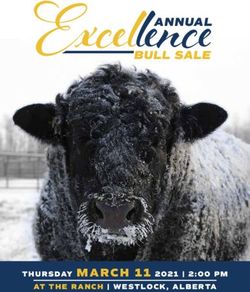 ANNUAL BULL SALE - THURSDAY MARCH 11 2021 | 2:00 PM - Excel Ranches