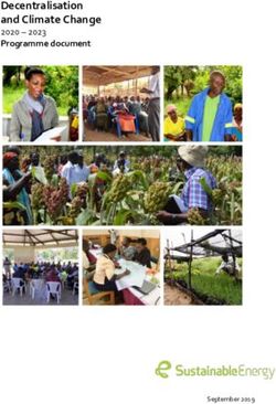 Decentralisation and Climate Change 2020 - 2023 Programme document - September 2019 - Sustainableenergy