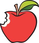 What is being transferred in transfer learning?