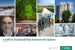 Credit & Sustainability Framework Update - May 2020
