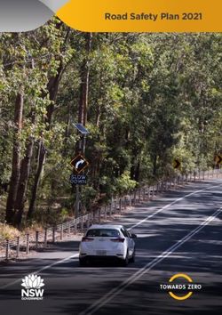 Road Safety Plan 2021 - NSW Government