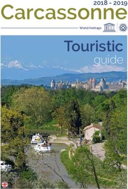 Carcassonne Touristic - guide