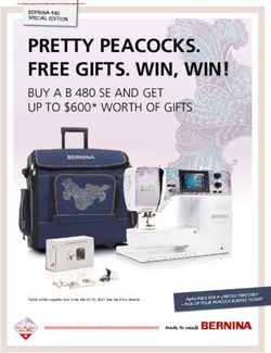 PRETTY PEACOCKS. FREE GIFTS. WIN, WIN! - BUY A B 480 SE AND GET UP TO $600* WORTH OF GIFTS - Bernina