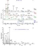 Diffusible signal factor signaling controls bioleaching activity and niche protection in the acidophilic, mineral oxidizing leptospirilli