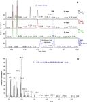 Diffusible signal factor signaling controls bioleaching activity and niche protection in the acidophilic, mineral oxidizing leptospirilli