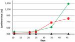 Diffusible signal factor signaling controls bioleaching activity and niche protection in the acidophilic, mineral oxidizing leptospirilli