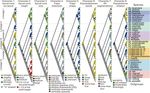 Verifiability of genus-level classification under quantification and parsimony theories: a case study of follicucullid radiolarians