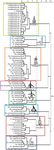 Verifiability of genus-level classification under quantification and parsimony theories: a case study of follicucullid radiolarians
