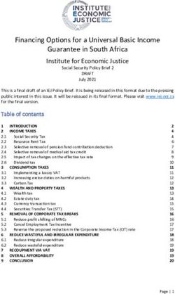 Financing Options for a Universal Basic Income Guarantee in South Africa