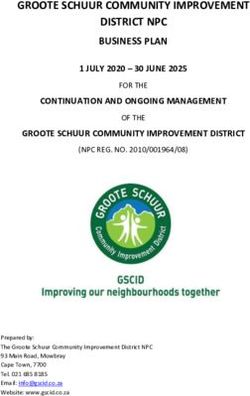 GROOTE SCHUUR COMMUNITY IMPROVEMENT DISTRICT NPC