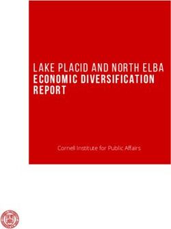 Lake Placid and North Elba Economic Diversification report - Cornell Institute for Public Affairs