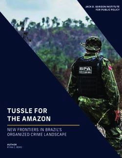 TUSSLE FOR THE AMAZON - PICTURE FOR COVER CAN BE DROPPED INTO THE SHAPE HERE