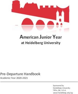 American Junior Year at Heidelberg University - Pre-Departure Handbook