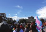 JOURNAL INTERNATIONAL AVENUE COMES ALIVE - Calgary Journal