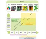 CA17134 - Optical synergies for spatiotemporal SENSing of scalable ECOphysiological traits - (SENSECO)