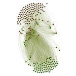 What Drives the Covariation of Cryptocurrency Returns? - Amin Shams