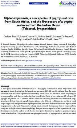 Hippocampus nalu, a new species of pygmy seahorse from South Africa, and the first record of a pygmy