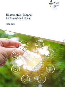 Sustainable Finance High-level definitions - May 2020 - International ...