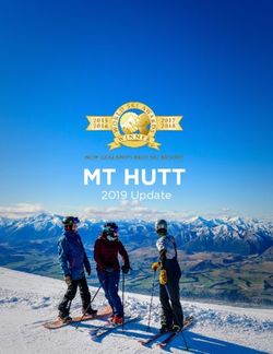 MT HUTT 2019 Update - The Remarkables