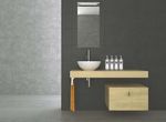 N Metal, Wood, & Resin Vanity Collections n Mirrors & Hair Tool Holders n Shower & Vanity Mirrors