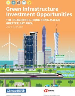 Green Infrastructure Investment Opportunities - THE GUANGDONG-HONG KONG-MACAO GREATER BAY AREA 2021 REPORT