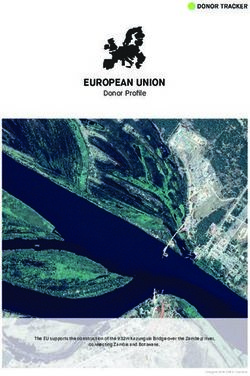 EUROPEAN UNION Donor Profile - Donor Tracker