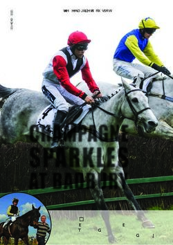 SPARKLES CHAMPAGNE - GOPOINTING