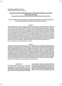 Image Reversal Resist Photolithography of Silicon-Based Platinum and Silver
