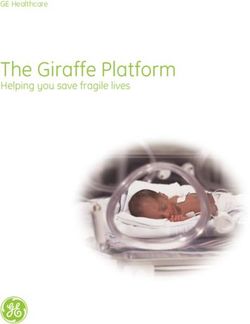 The Giraffe Platform Helping you save fragile lives - GE Healthcare
