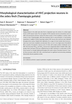 Morphological characterization of HVC projection neurons in the zebra finch (Taeniopygia guttata)