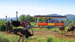 8-day tour through the Garden Route - A luxurious and adventurous private tour with guide - Hottentots Shuttle and ...