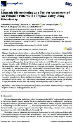 Magnetic Biomonitoring as a Tool for Assessment of Air Pollution Patterns in a Tropical Valley Using Tillandsia sp.
