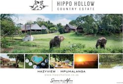 HAZYVIEW I MPUMALANGA - www.hippohollow.co.za - Seasons in Africa