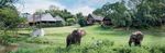 HAZYVIEW I MPUMALANGA - www.hippohollow.co.za - Seasons in Africa