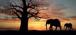 HAZYVIEW I MPUMALANGA - www.hippohollow.co.za - Seasons in Africa