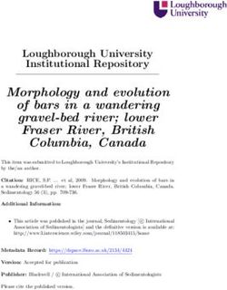 Morphology and evolution of bars in a wandering gravel-bed river; lower Fraser River, British Columbia, Canada