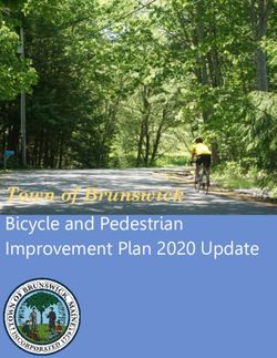 Bicycle and Pedestrian Improvement Plan 2020 Update - Town of Brunswick
