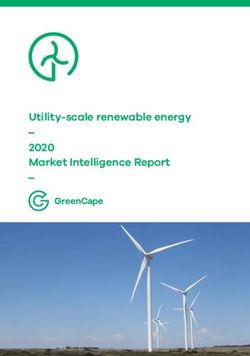 Utility-scale renewable energy 2020 Market Intelligence Report - GreenCape