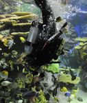 EVENT & VENUE INFORMATION - Ripley's Aquariums