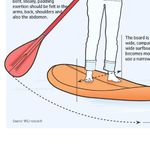 Surf's Up: The Rise of Stand-up Paddle Boards - Far From the Ocean, Fitness Craze Appeals to Those Wanting a Total Body Workout on the Water ...