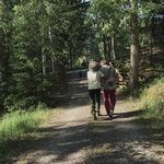 Sustainable insurance - L&auml;nsf&ouml;rs&auml;kringar Sak's report based on the UN Principles for Sustainable Insurance (PSI) - UNEP FI