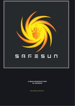 A BRIEF INTRODUCTION TO SAFESUN