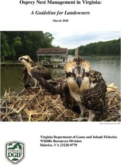 Osprey Nest Management in Virginia: A Guideline for Landowners - Virginia Department of Game and Inland Fisheries Wildlife Resources Division He ...