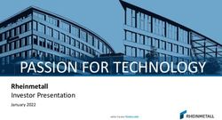 PASSION FOR TECHNOLOGY - Rheinmetall Investor Presentation January 2022