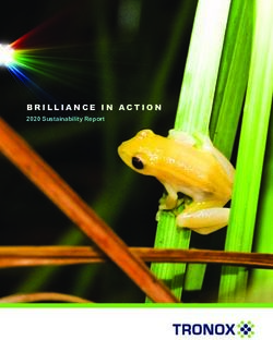 BRILLIANCE IN ACTION 2020 Sustainability Report - Tronox