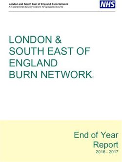 LONDON & SOUTH EAST OF ENGLAND BURN NETWORK - End of Year Report 2016 2017 - lsebn