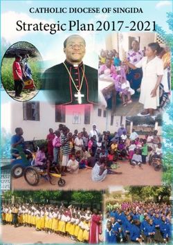 Strategic Plan 2017-2021 - CATHOLIC DIOCESE OF SINGIDA - The Catholic Diocese of Singida
