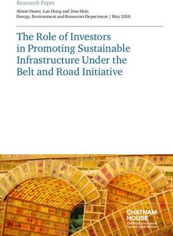 The Role of Investors in Promoting Sustainable Infrastructure Under the Belt and Road Initiative - Research Paper - Chatham House