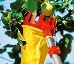 2019 Catalogue www.WOLF-Garten.com - WOLF-Garten Europe