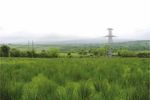 LAOIS-KILKENNY REINFORCEMENT PROJECT - STAGE 2 LEAD CONSULTANT'S REPORT IDENTIFICATION OF PREFERRED SUBSTATION SITE, PREFERRED ROUTE CORRIDOR AND ...